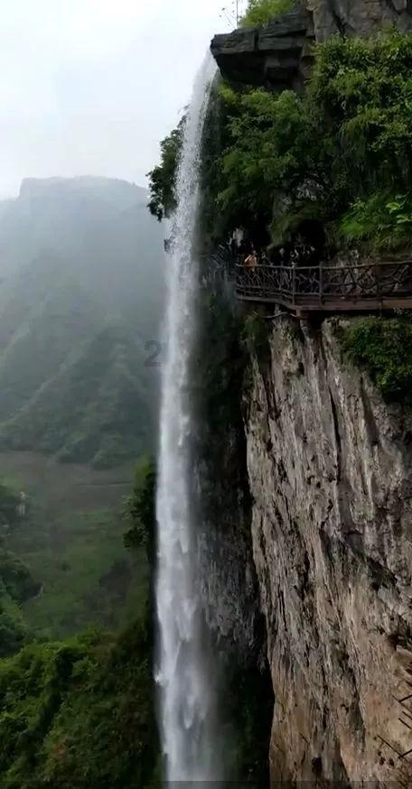 王傲世的梦